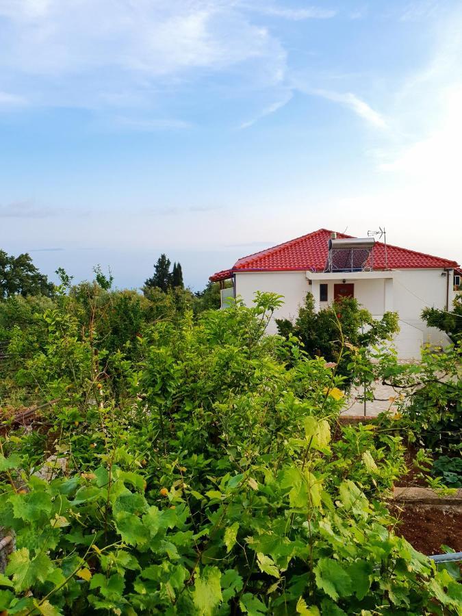 Xheko Rooms Dhermi Bagian luar foto
