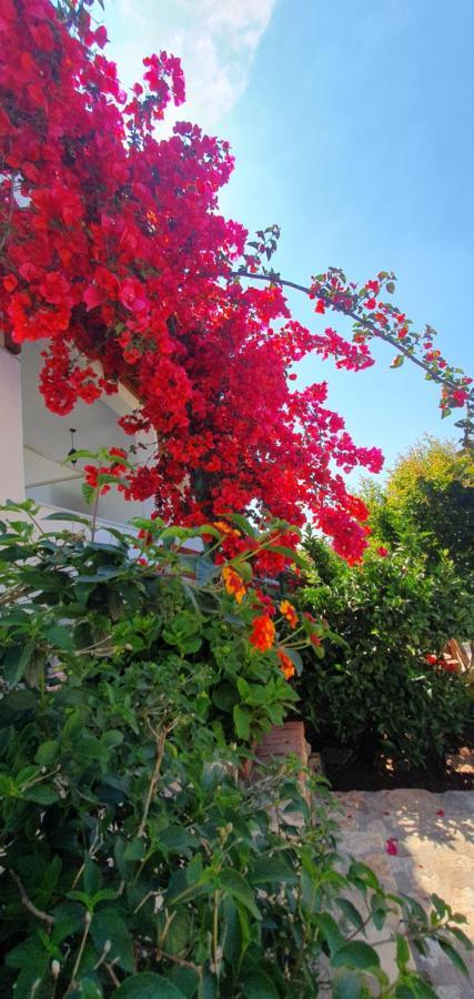 Xheko Rooms Dhermi Bagian luar foto