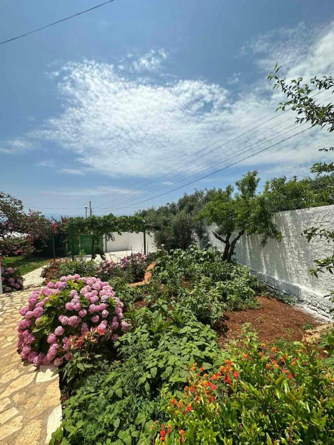 Xheko Rooms Dhermi Bagian luar foto
